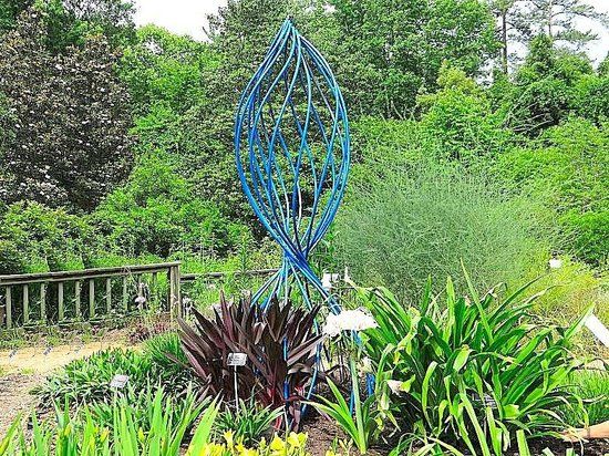 North Carolina Botanical Garden